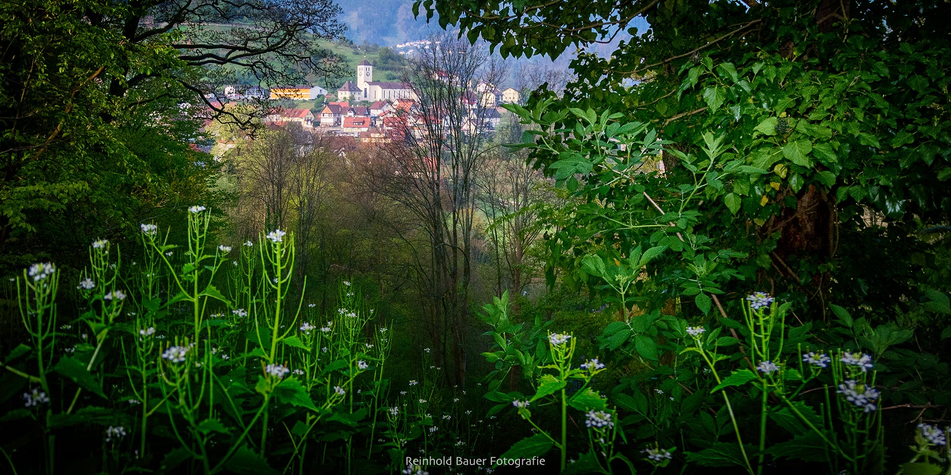 Mein Dorf-dicht an der Natur