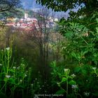 Mein Dorf-dicht an der Natur