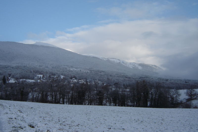 mein dorf in den alpen