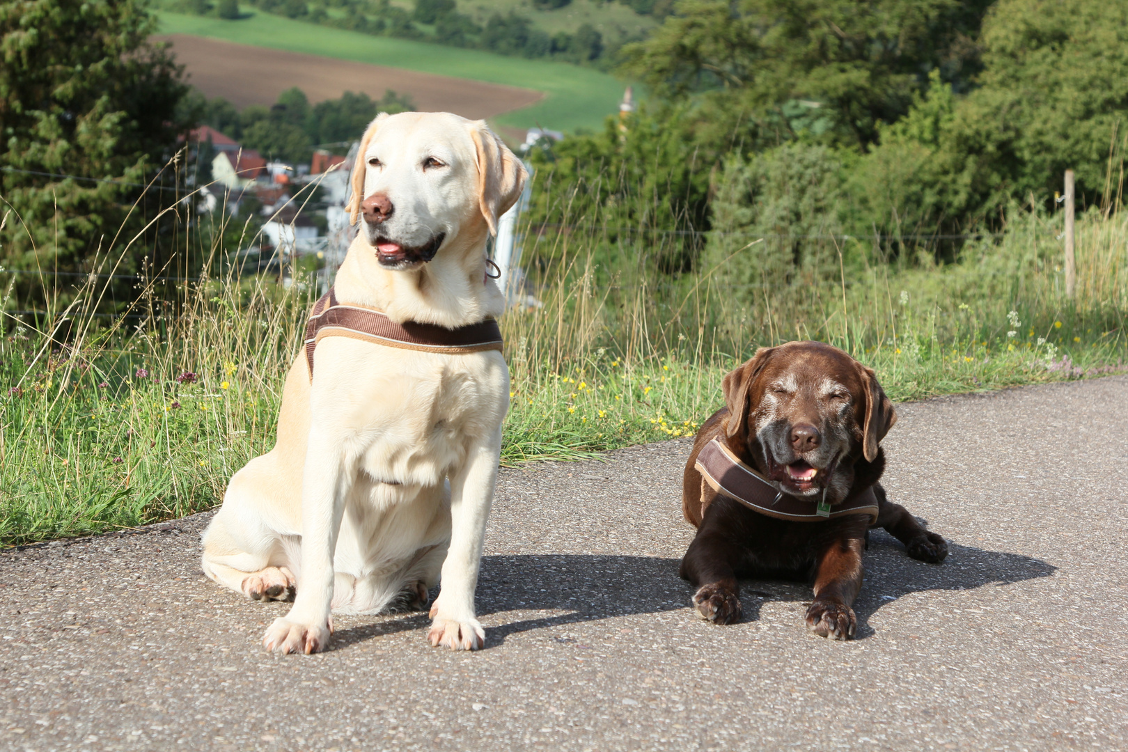 Mein Dreamteam