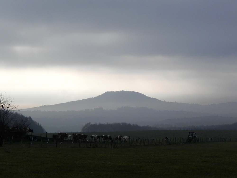 Mein Eifel-Kilimanjaro wenn der Nebel sich lichtet