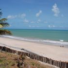 Mein einsamer Strand von Tabatinga