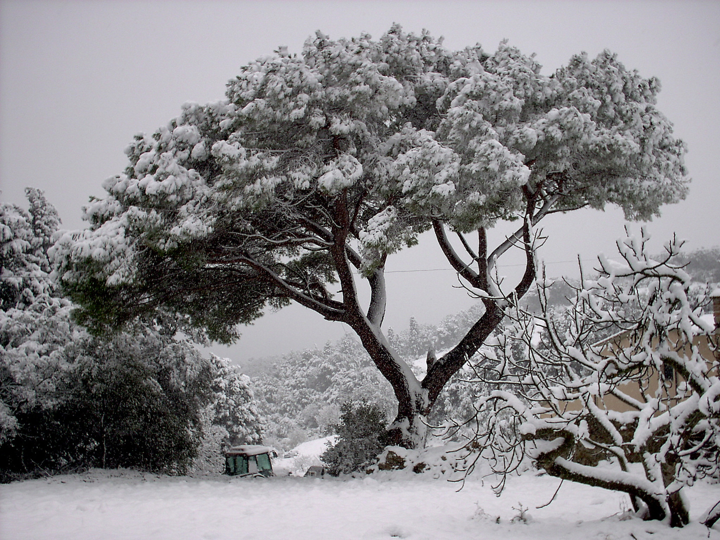 mein Einstand: Toskanischer Winter