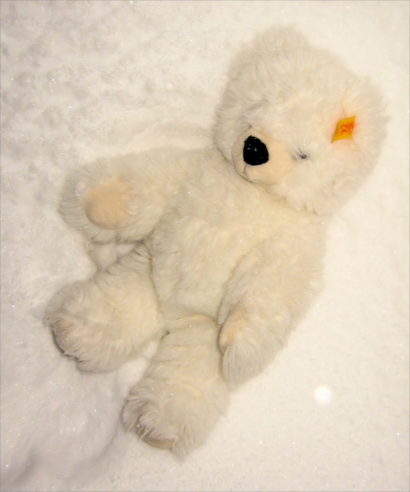 Mein Eisbär im Schnee...