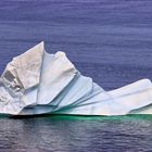 Mein Eisberg vor Twillingate Newfoundland