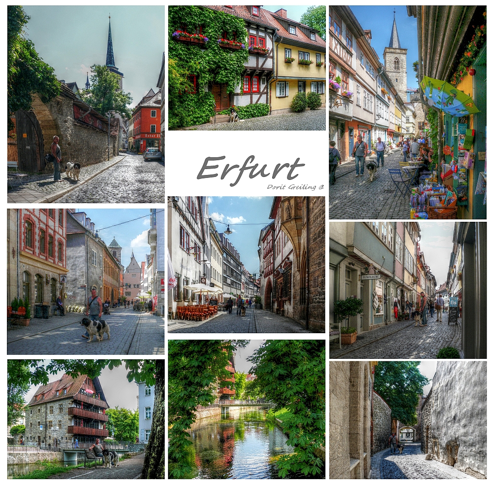 Mein Erfurt