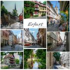 Mein Erfurt