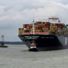 Mein erster 13.000TEU von MSC