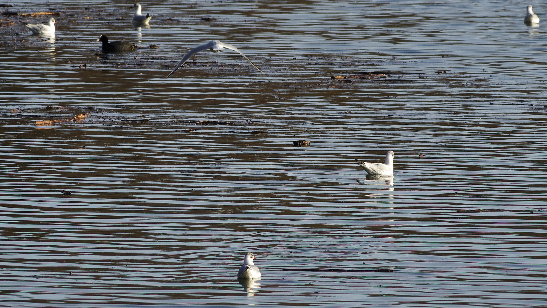 mein erster Blick auf den Neckar