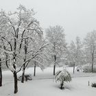 mein erster Blick aus dem Fenster...