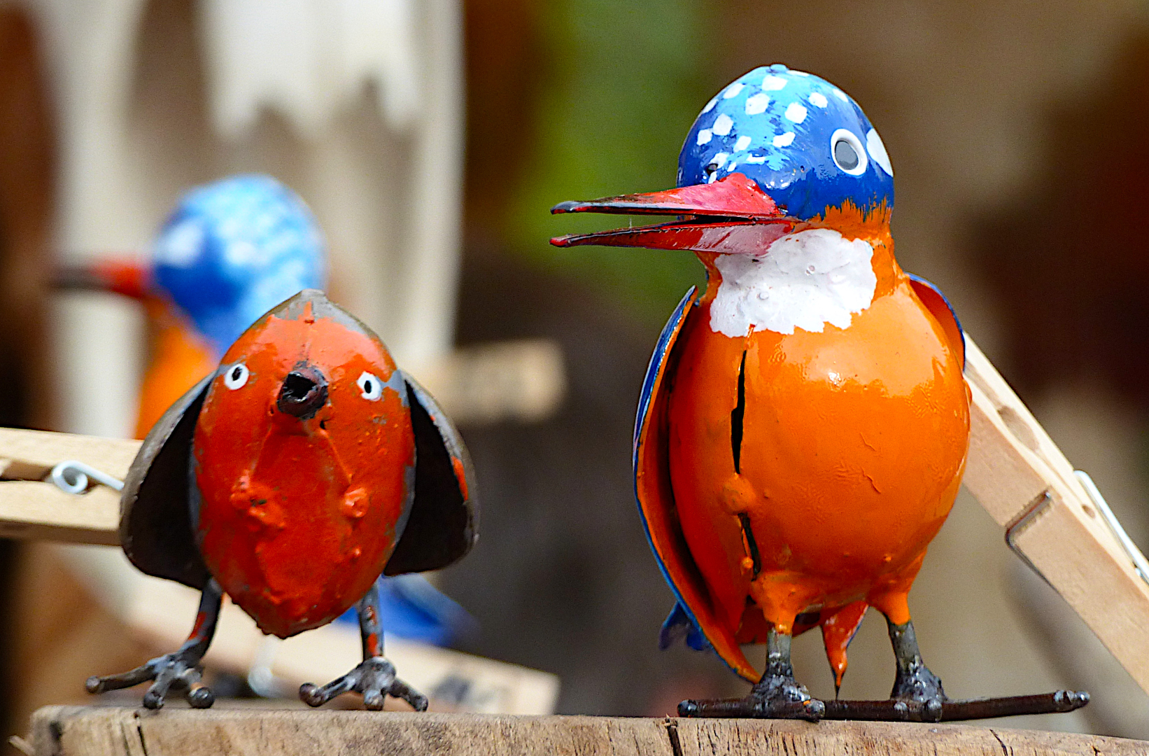 Mein erster Eisvogel