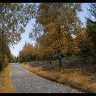 Mein erster Herbstspaziergang...