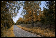 Mein erster Herbstspaziergang...