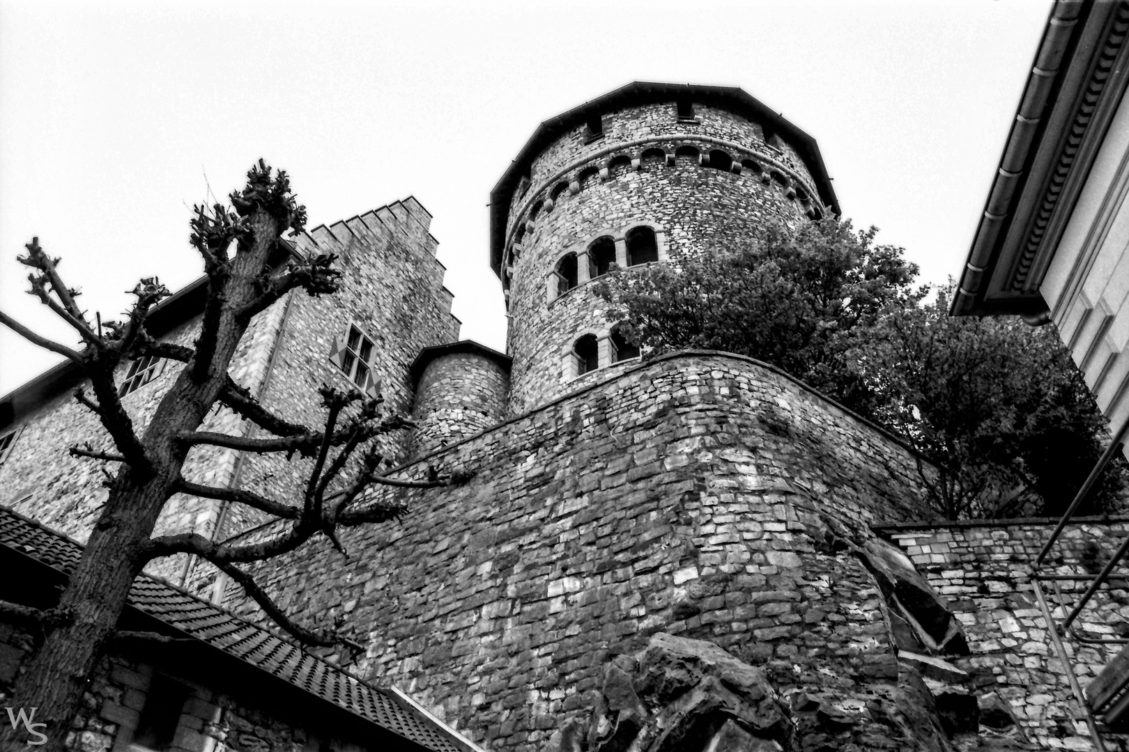 Mein erster Ilford Delta 100 analog Test