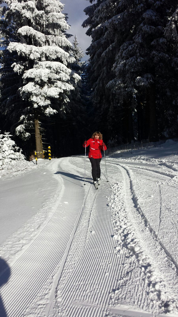 Mein erster Langlauf