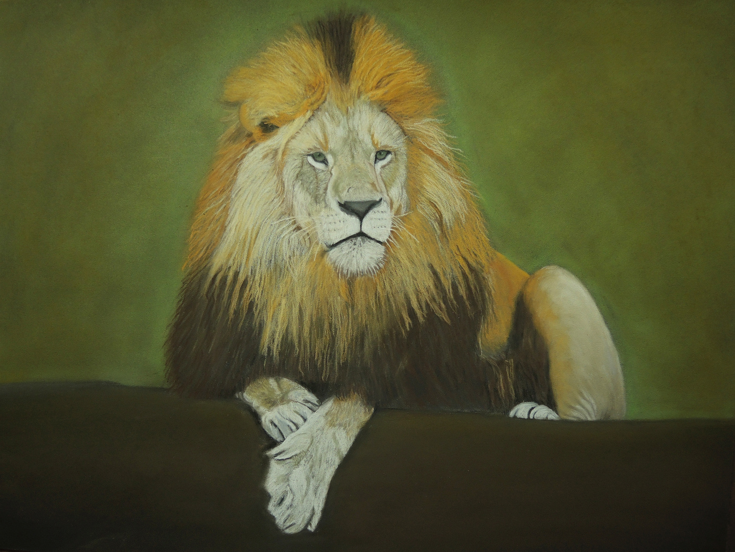 Mein Erster Lowe Mit Pastellkreide Gemalt Foto Bild Natur Tiere Malerei Bilder Auf Fotocommunity