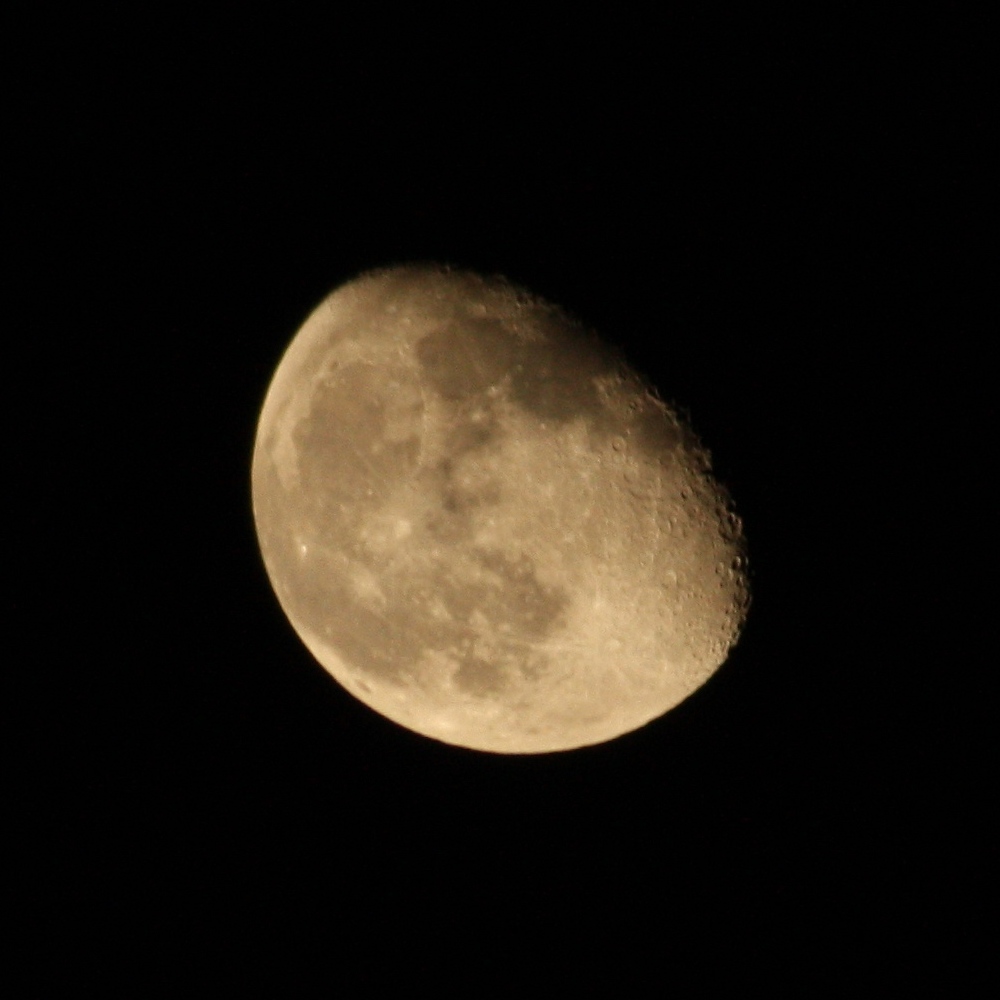 mein erster Mond