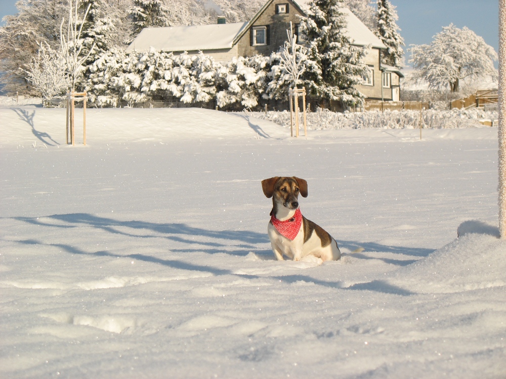 Mein erster Schnee !