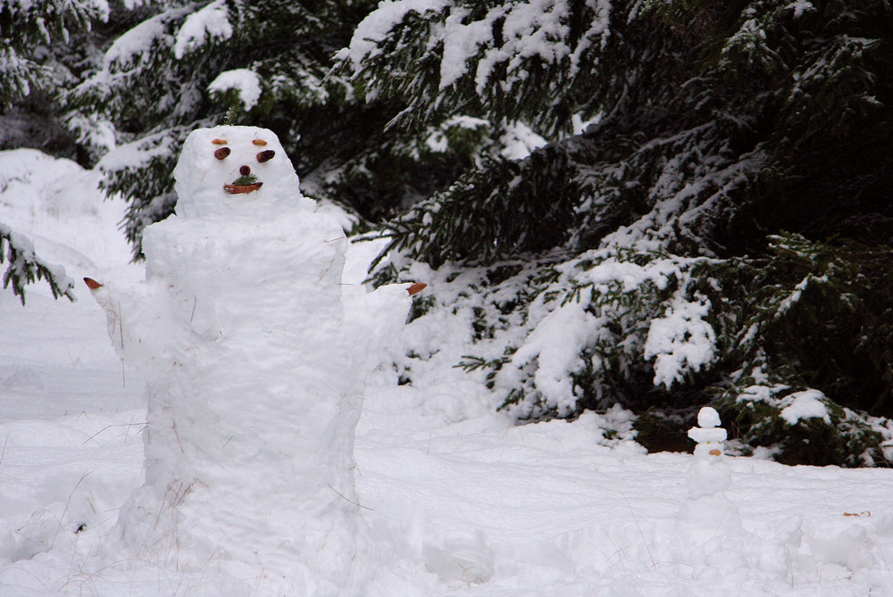 Mein erster Schneemann 2007