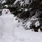 Mein erster Schneemann 2007