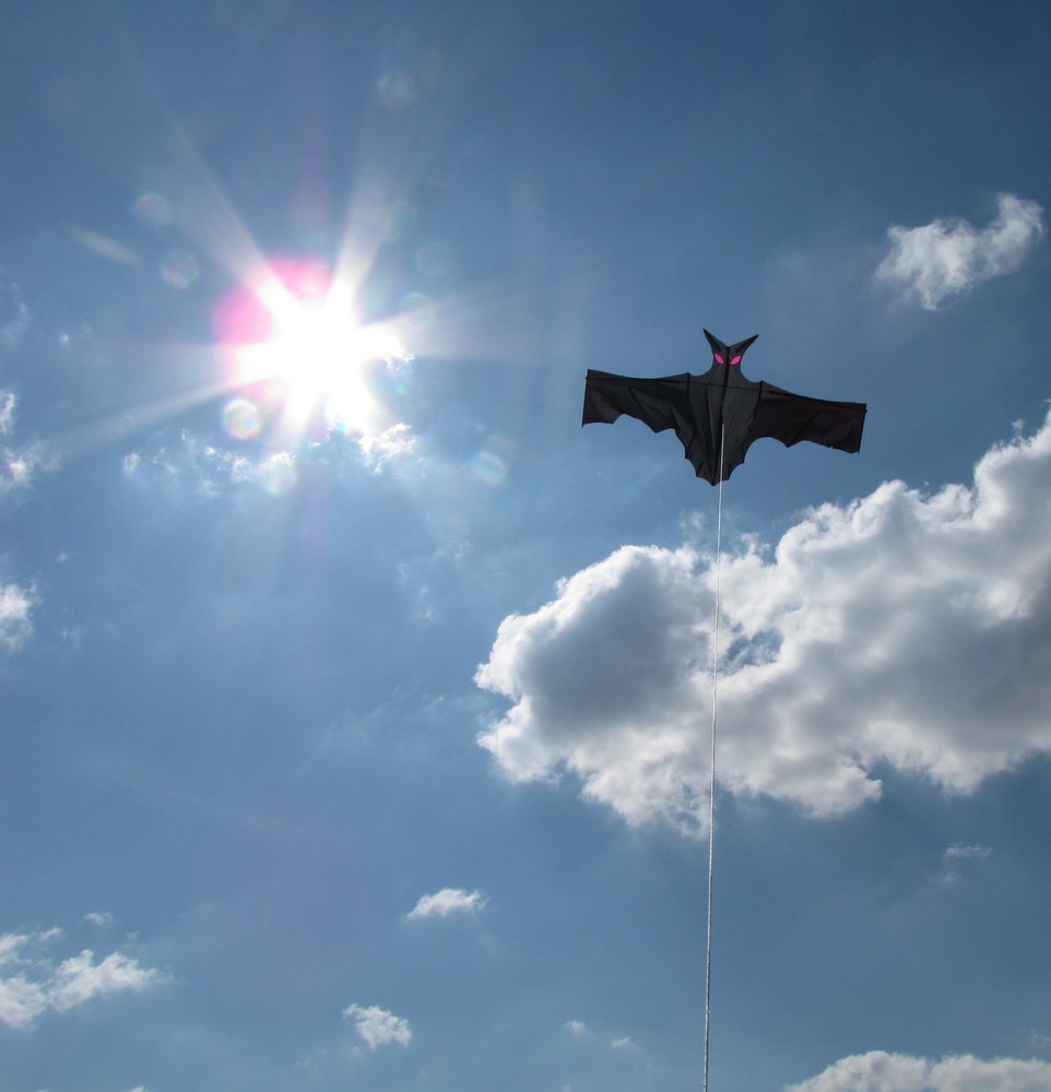 Mein erster selbstgebauter Kite