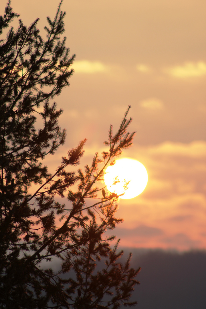 mein erster Versuch Sonnenaufgang