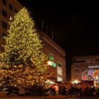 mein erster Weihnachtsbaum in diesem Jahr ...