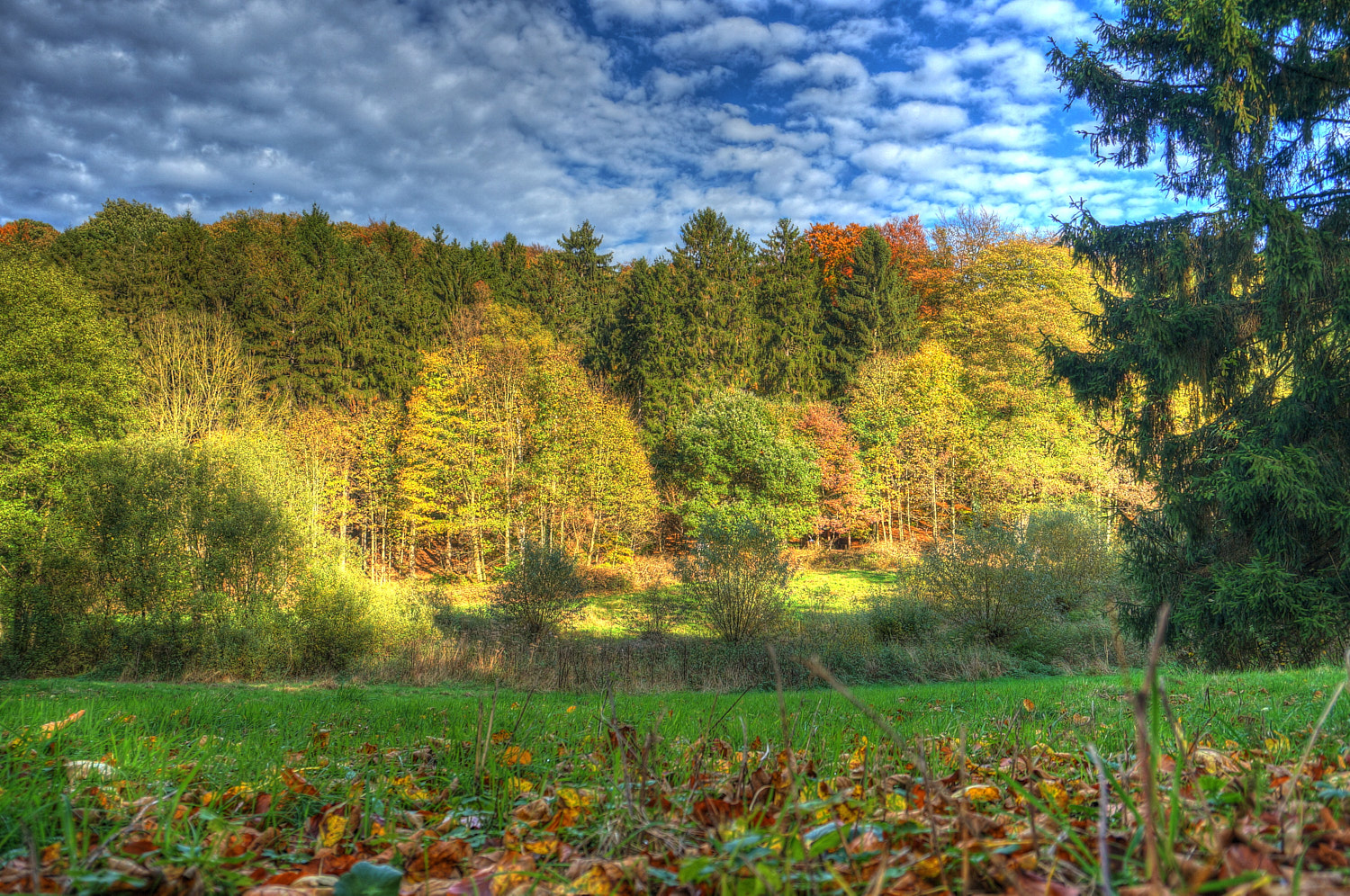 Mein erstes Foto 2015, Herbst im Asental Bad Salzuflen