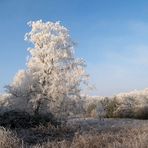 " Mein erstes Frostbild "