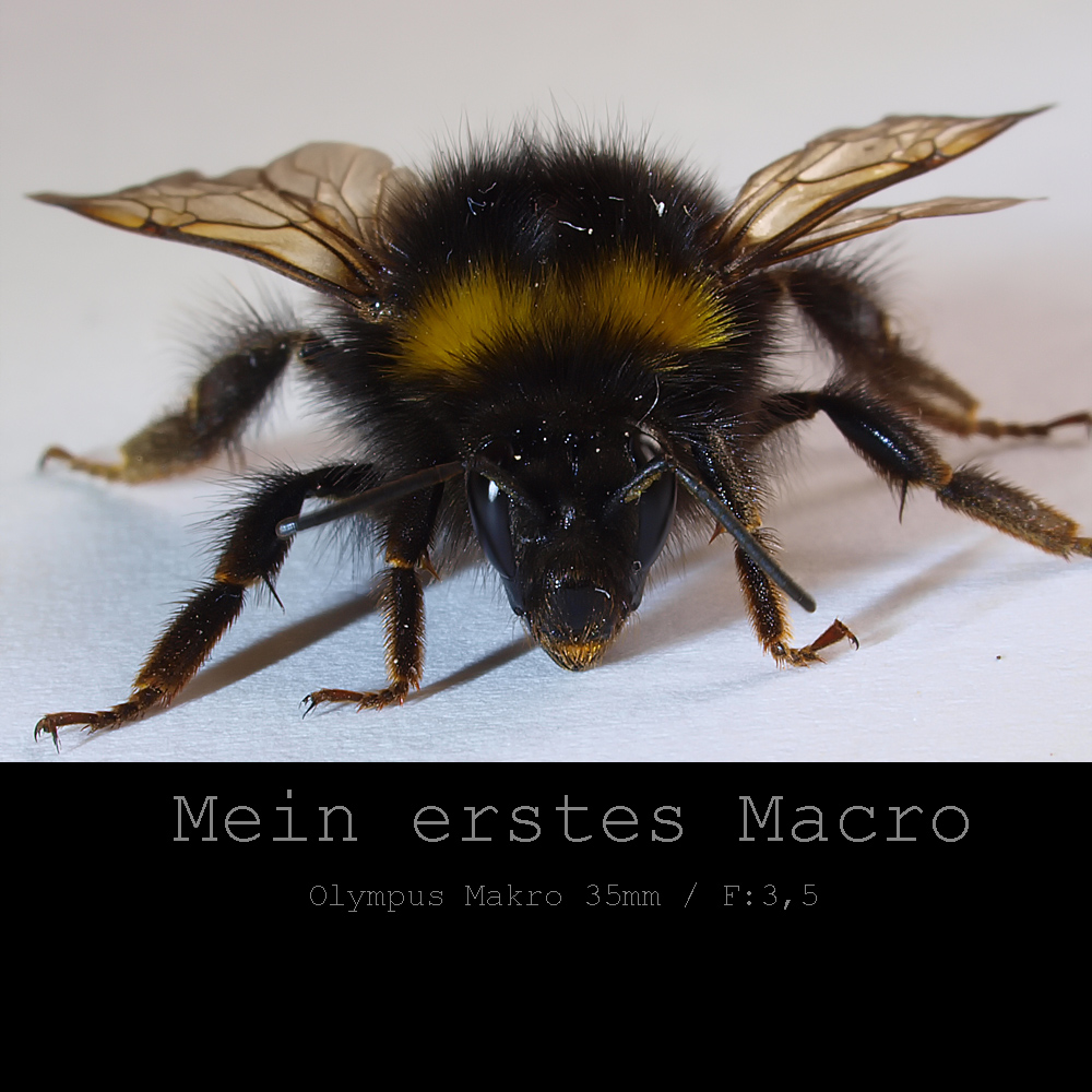 Mein erstes Macro