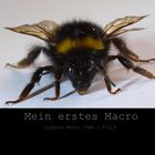 Mein erstes Macro