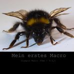 Mein erstes Macro