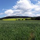 Mein erstes Panorama