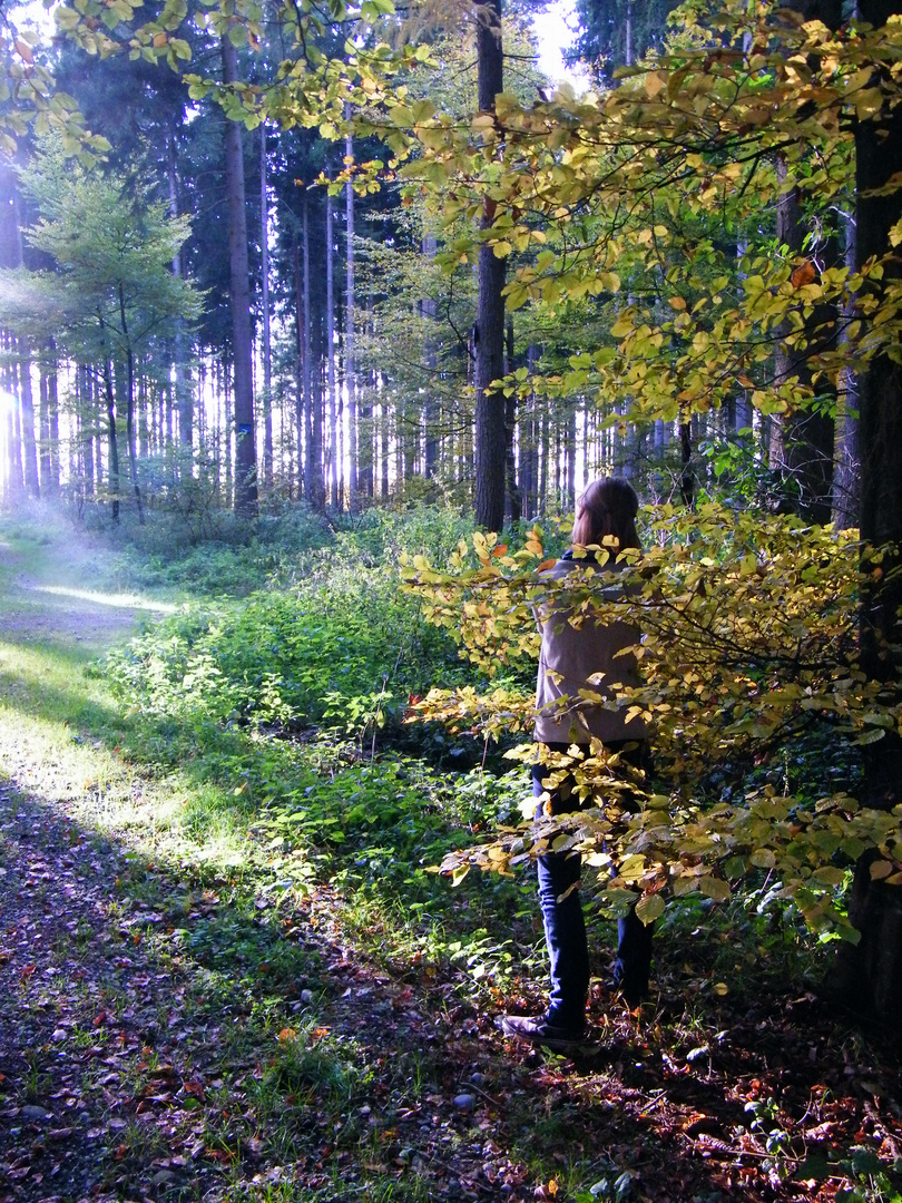 mein erstes shoot - mit anka im wald