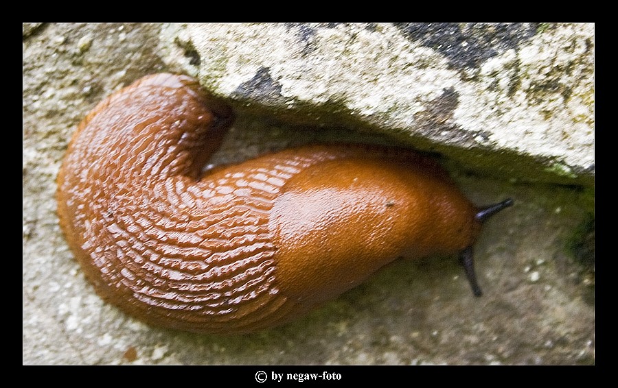 mein erstes Tierbild