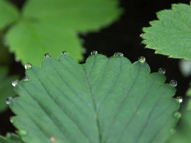 Mein erstes Wassertropfenbild