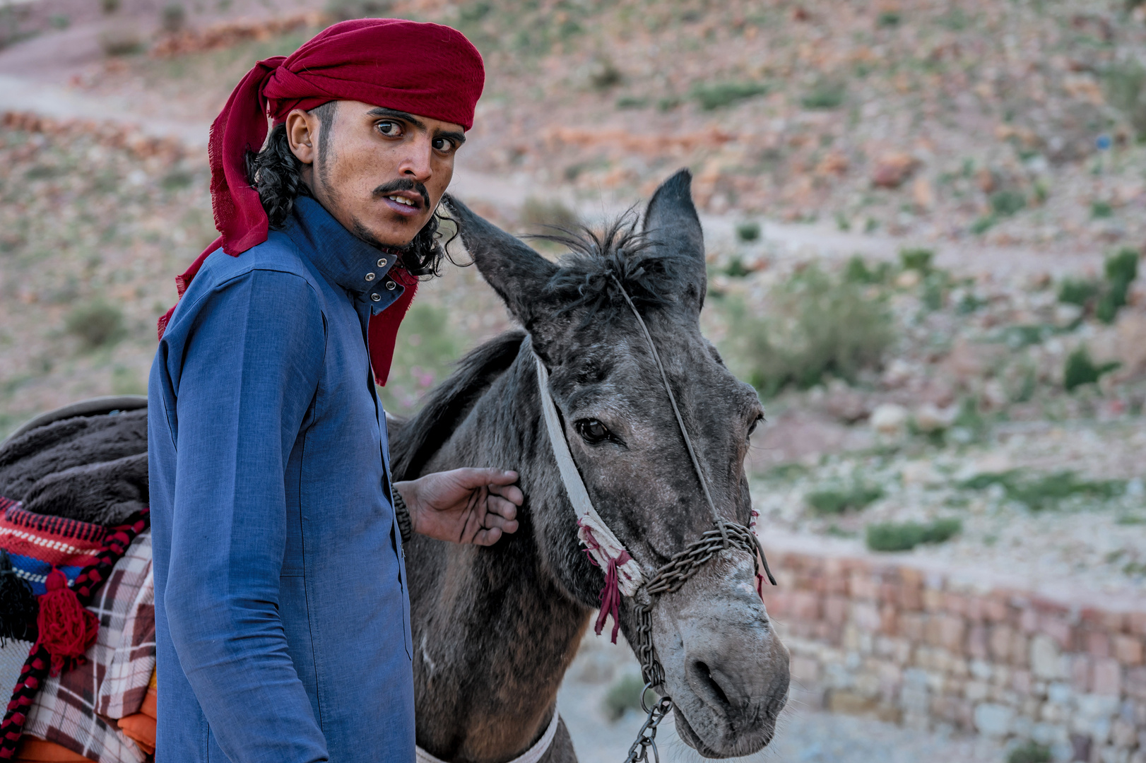 Mein Esel und ...... in Petra