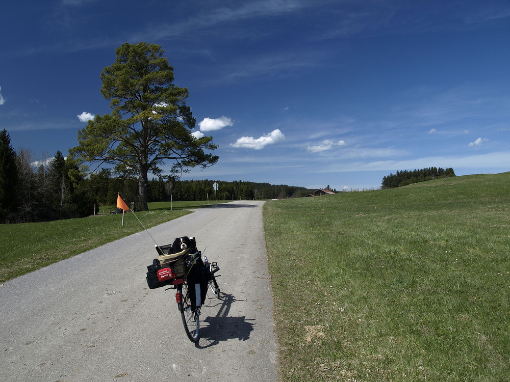 Mein Fahrgast am Dampflokradweg im Allgäu