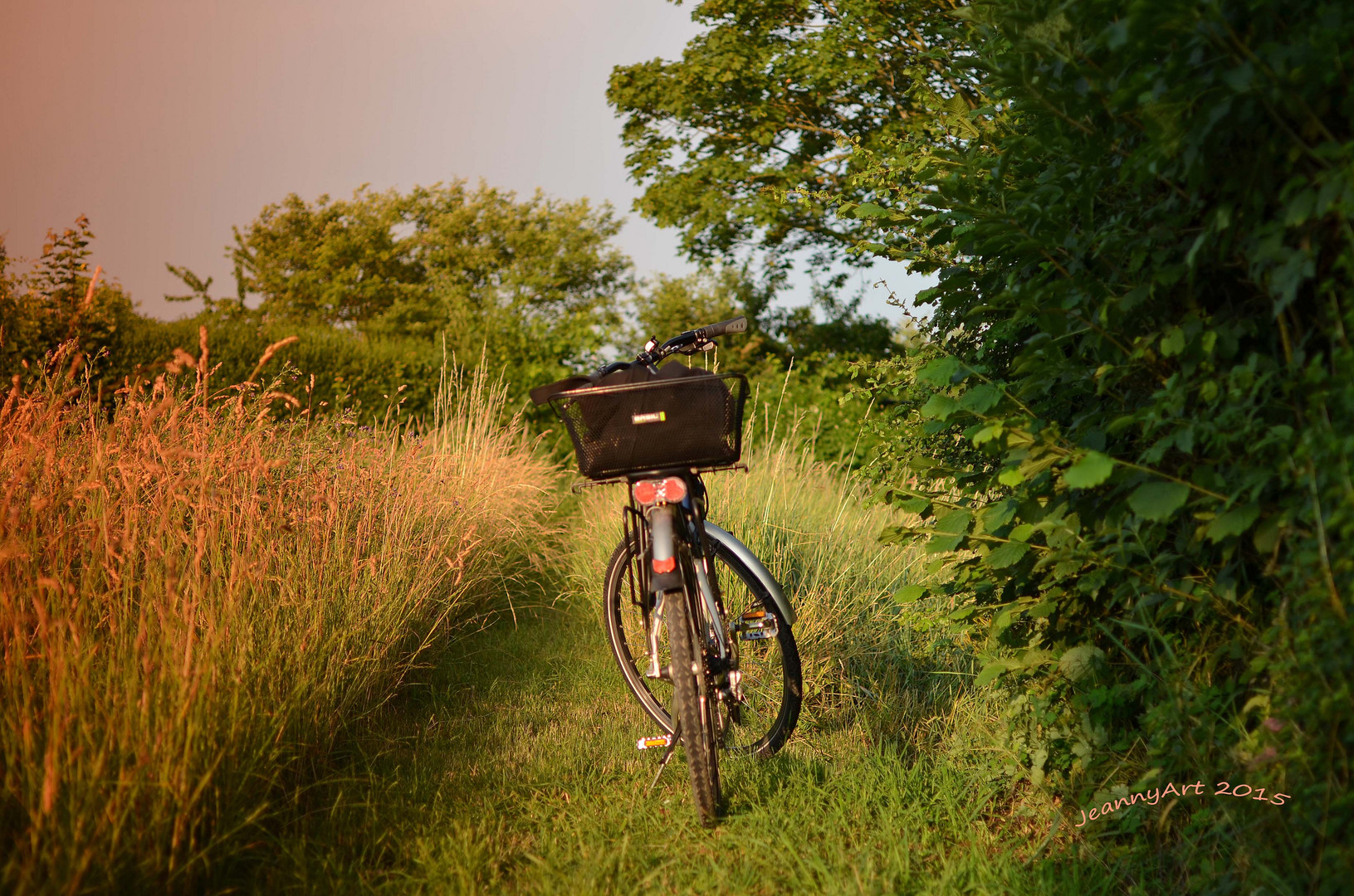 mein Fahrrad am Feldrand