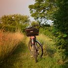 mein Fahrrad am Feldrand