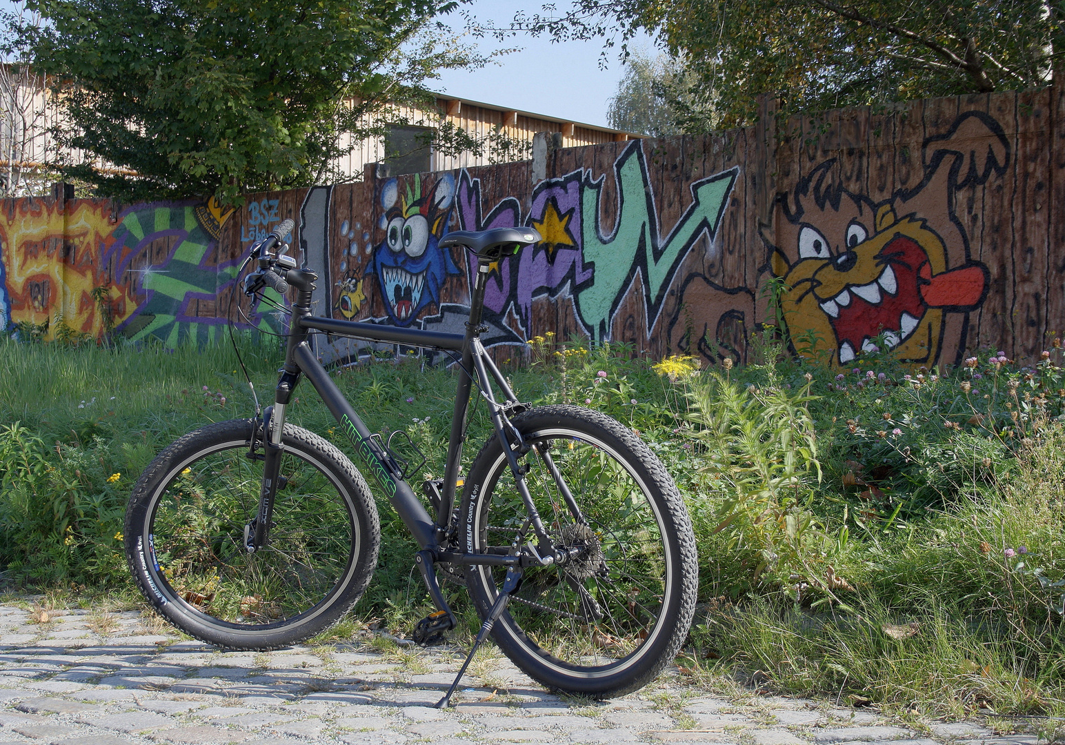 Mein Fahrrad - HDR