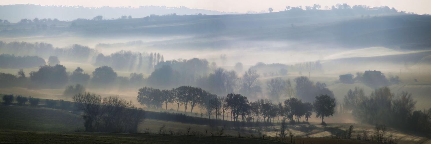 mein Faible fuer Nebel...