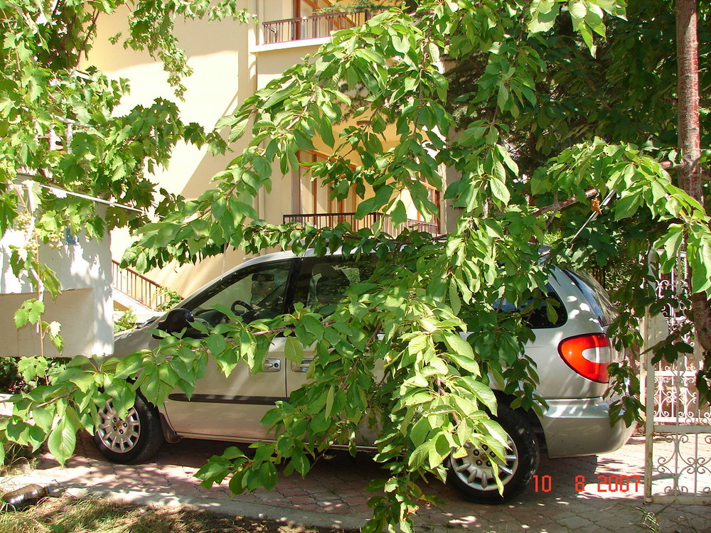 Mein Familien Auto