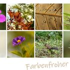 Mein farbenfroher Herbst