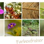 Mein farbenfroher Herbst