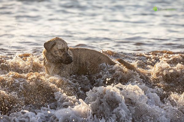 Mein Fels in der Brandung