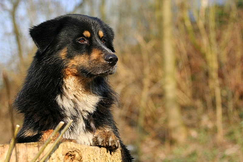 Mein Fels in der Brandung