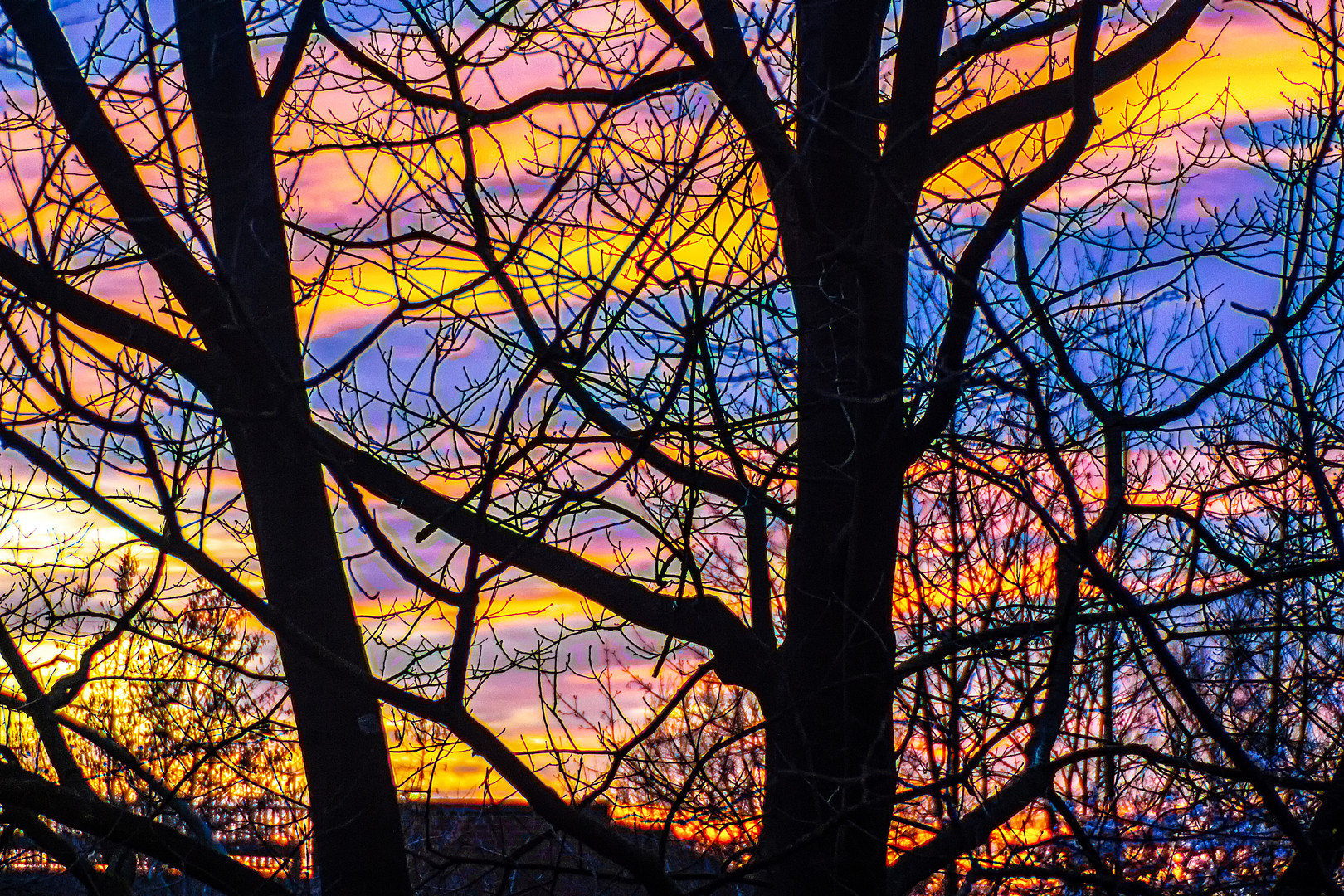 Mein Fenster-Ausblick ...