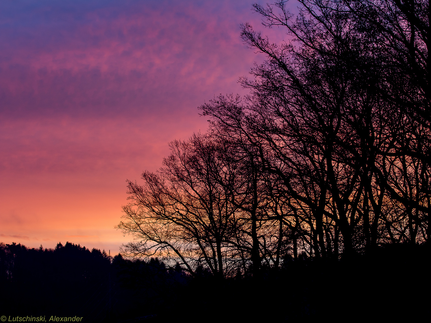 Mein Fensterblick