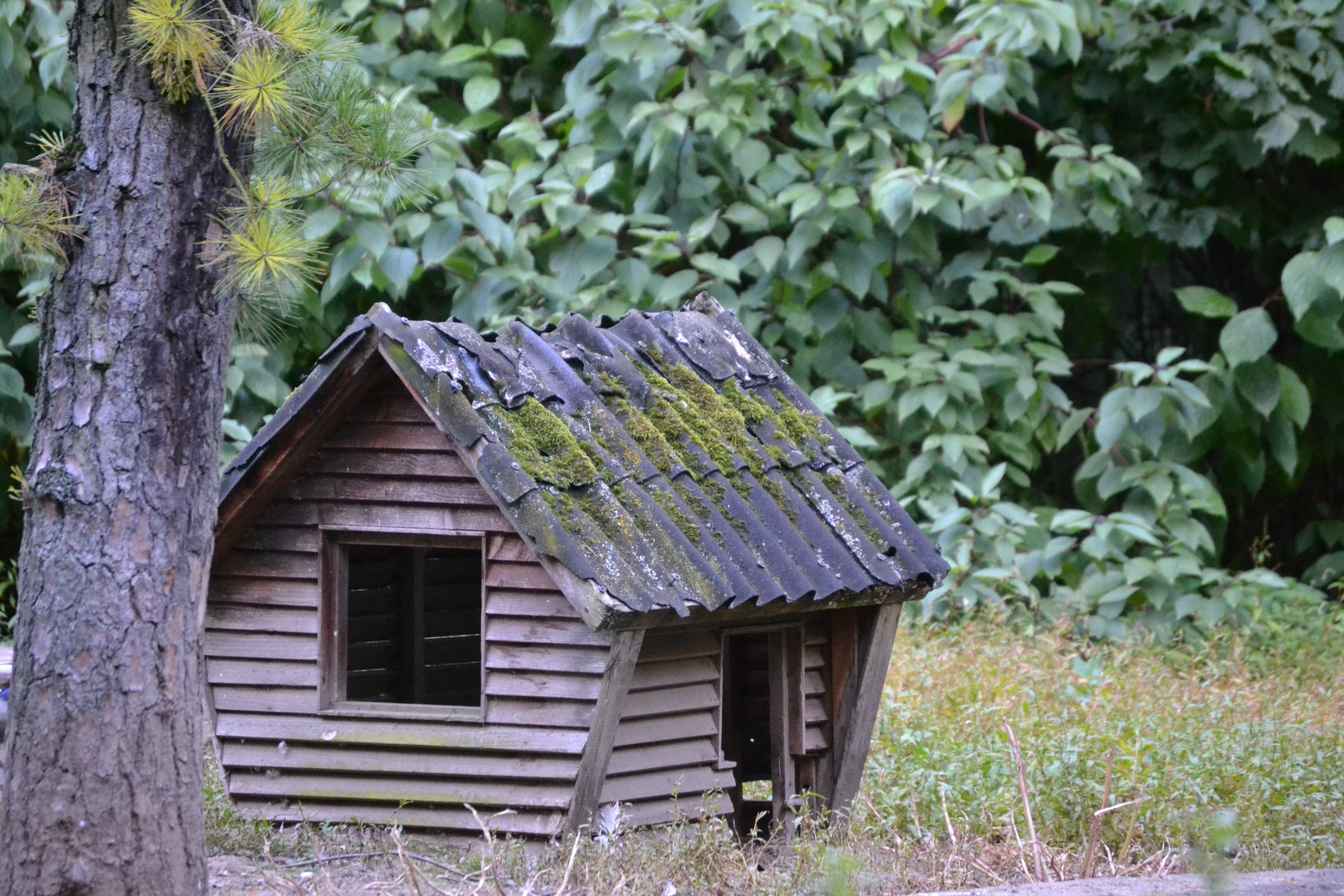 Mein Ferienhaus